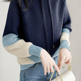 Casual Minimalist Color-Block Hooded Knitted Sweatshirt