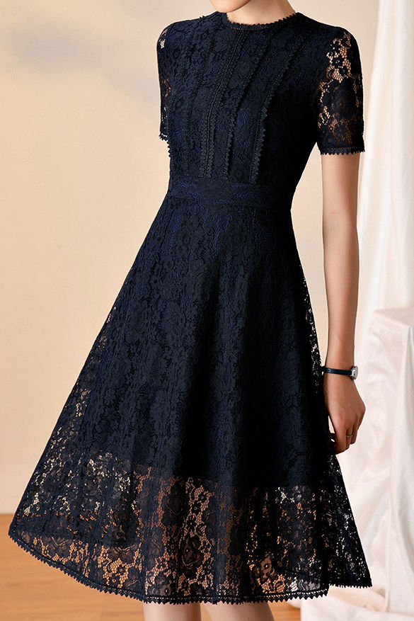 Stylish and Elegant Lace Dress - liwisi