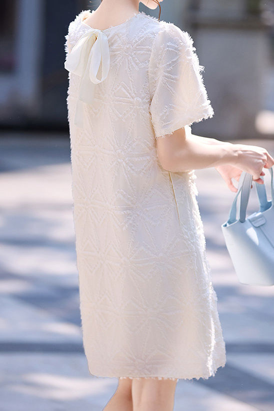 Elegant Soft Sheared Textured Dress - liwisi