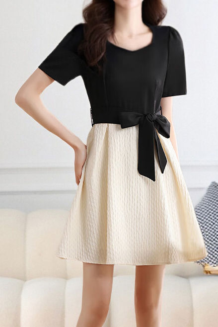 Elegant Color-Block Paneled Dress - liwisi