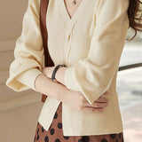 Simple Solid V-Neck Sweater