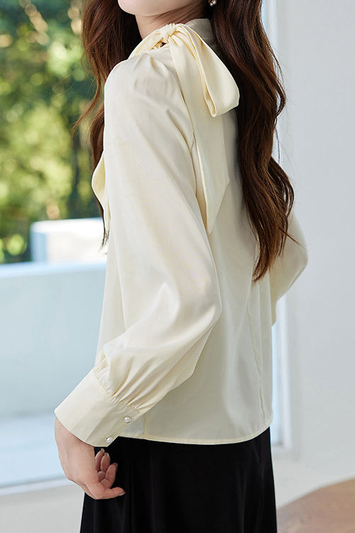 Elegant Stand Collar Bow Shirt - liwisi