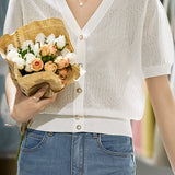 V-neck Short Sleeve Knit Top