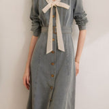Elegant and Stylish Denim Dress - liwisi