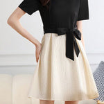 Elegant Color-Block Paneled Dress - liwisi