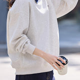Casual Polo Collar Embroidered Letter Pullover Sweatshirt