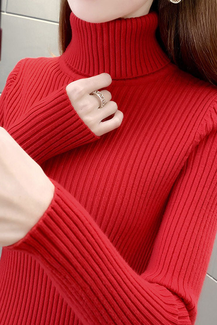 Minimalist Warm High-Neck Base Layer - liwisi