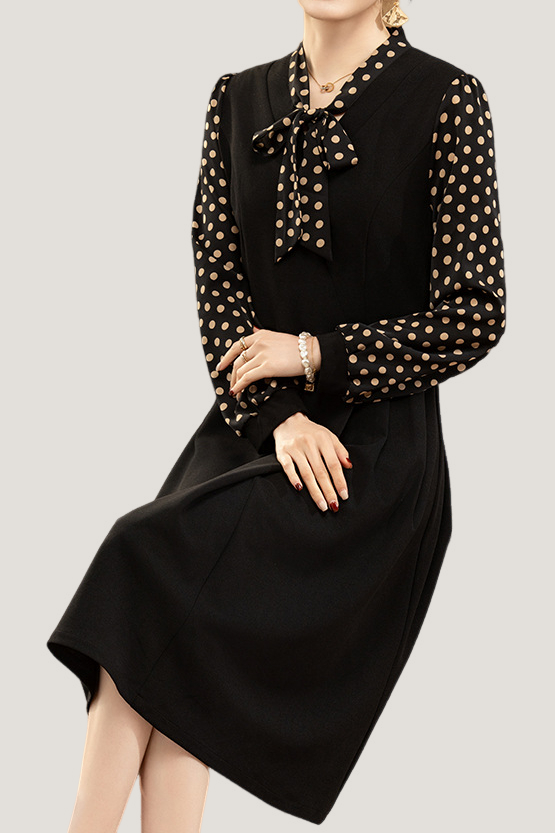 Casual Versatile Polka Dot Long-Sleeve Paneled Dress - liwisi
