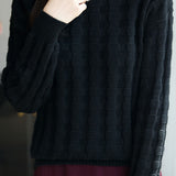 Casual Minimalist Pullover Crew Neck Jacquard Knitted Top