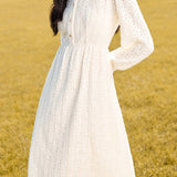 Exquisite Lace A-Line Dress