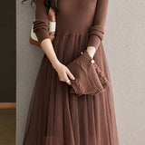 Elegant Daily Mesh Dress and Vest Two-Piece Set