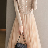 Elegant Daily Mesh Dress and Vest Two-Piece Set
