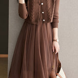 Elegant Daily Mesh Dress and Vest Two-Piece Set