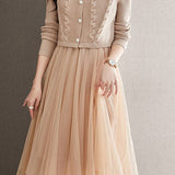 Elegant Daily Mesh Dress and Vest Two-Piece Set