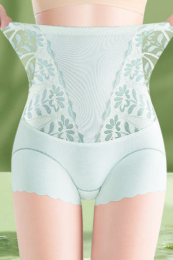 Elegant High-Waisted Tummy-Control Butt-Lifting Seamless Briefs - liwisi