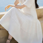 Casual Hollow Crochet Embroidered Dress - liwisi