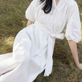 Casual Half Placket Tie Waist Lantern Sleeve Dress - liwisi