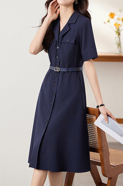 Elegant Commuter Lapel Dress - liwisi