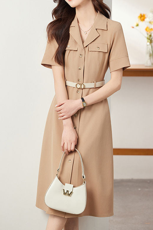 Elegant Commuter Lapel Dress - liwisi