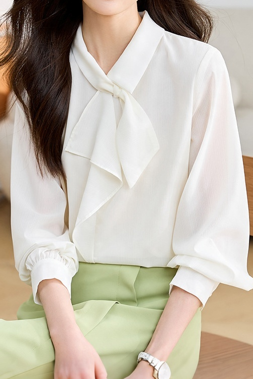 Exquisite Commuter Tie-Neck Long-Sleeve Chiffon Blouse