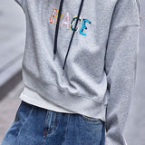 Casual Drawstring Letter Embroidered Hooded Sweatshirt