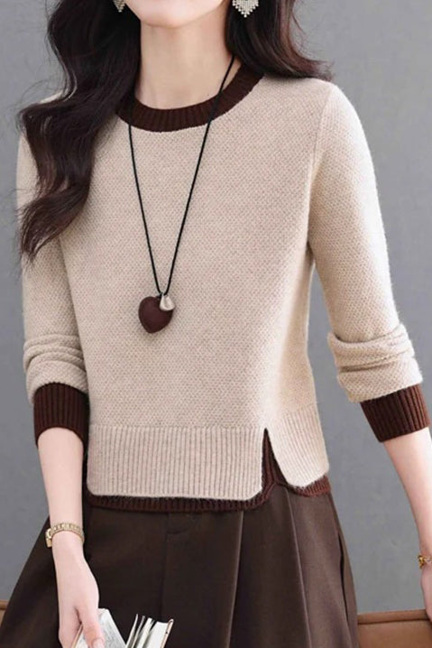 Elegant Colorblock Crew Neck Knit Sweater
