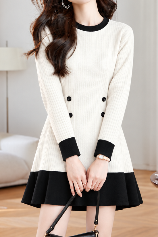 Chic Colorblock Crew Neck Long Sleeve Knit Dress